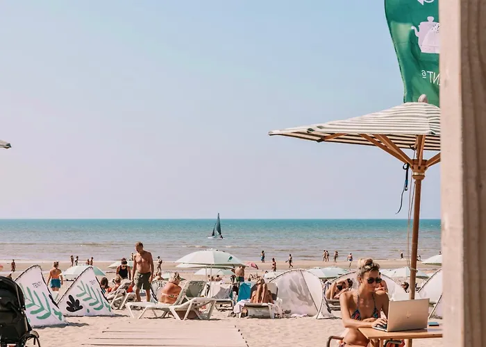 Follow The Sun Apartment Zandvoort